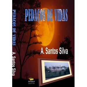  PEDAÇOS DE VIDAS